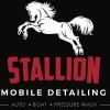 Stallion Mobile Detailing