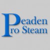 Peaden Pro Steam