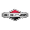 Briggs & Stratton