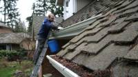 Gutter Cleaning