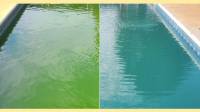 Pool Algae Removal